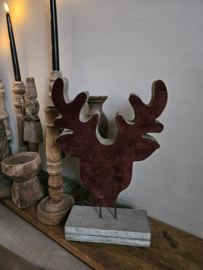 Rendier op voet hout