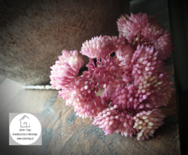 Sedum kunst tak oud roze