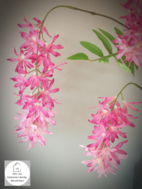 Spring flower roze