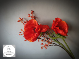 Papaver Nudicaule zijde oranje