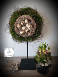 Wiel van mos met nest