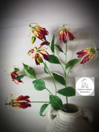 Gloriosa lily spray red