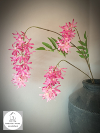 Spring flower roze
