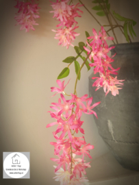 Spring flower rood