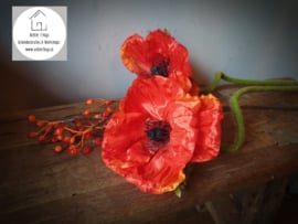 Papaver Nudicaule zijde oranje