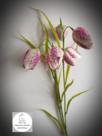 Fritillaria - kievitsbloem zijde pink