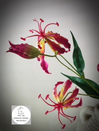 Kunst gloriosa Michelle Burgundy