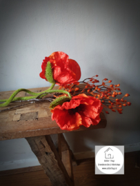 Papaver Nudicaule zijde oranje