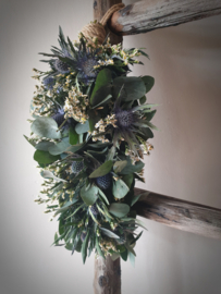 Kruiktoef limonium wit