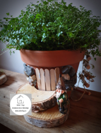 Kids pakket kabouterhuis