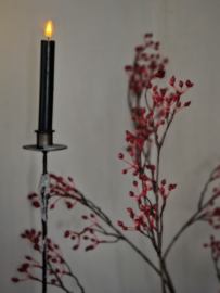 Kunst rozenbottel tak lang rood