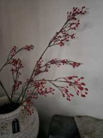 Kunst rozenbottel tak lang rood