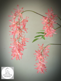 Spring flower rood