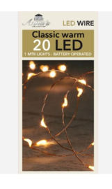 Led verlichting 20 lampjes koperdraad