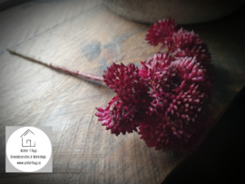 Sedum kunst tak burgundy