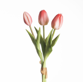 Real toch tulpen bundel beauty 3 stelen