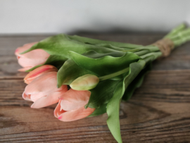Real toch tulpen zalmroze 5 stelen