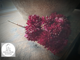 Sedum kunst tak burgundy