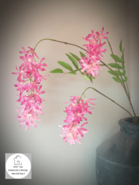Spring flower roze