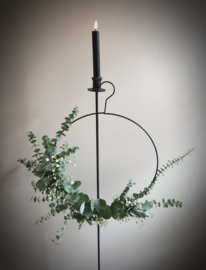 Eucalyptus gipskruid ring