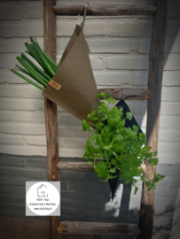 Sizo paper bag planten zak punt 10x20 bruin