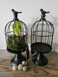 Vogelkooi op etagère