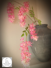 Spring flower rood