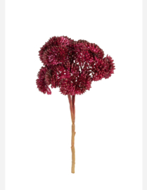 Sedum kunst tak burgundy