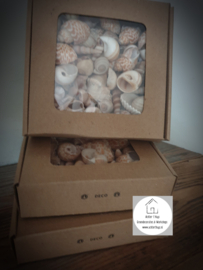 Doosje schelpen mixed shells naturel 500 gram
