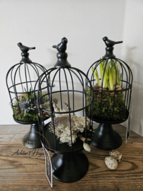 Vogelkooi op etagère