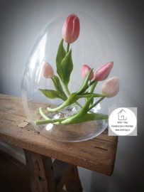 Glazen ei vaas met opening