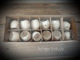 Kippen ei wit open met touw 12 stuks