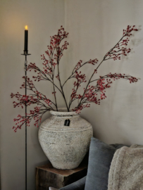 Kunst rozenbottel tak lang rood