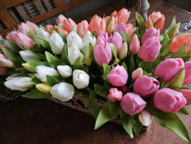 Real toch tulpen zalmroze 5 stelen
