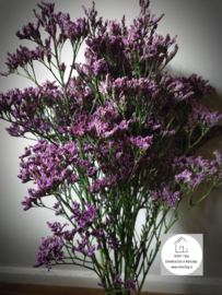 Limonium paars bos