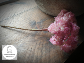 Sedum kunst tak oud roze