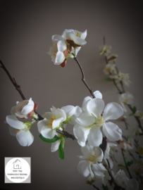 Prunus zijden tak cream wit