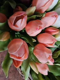 Real toch tulpen zalmroze 5 stelen
