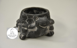 Bloempot schildpad