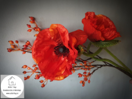 Papaver Nudicaule zijde oranje
