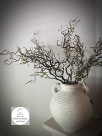 Kunst corylus contorta - kronkel hazelaar
