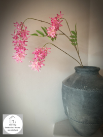 Spring flower roze