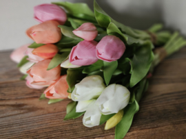 Real toch tulpen zalmroze 5 stelen