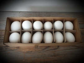 Eieren wit leeggeblazen