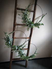 Eucalyptus gipskruid ring
