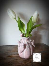 Vaas roze birds