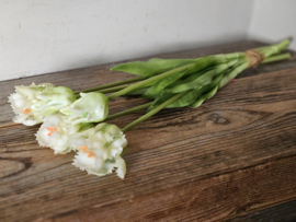 Parrot tulpen wit/groen