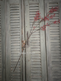 Kunst rozenbottel tak lang rood