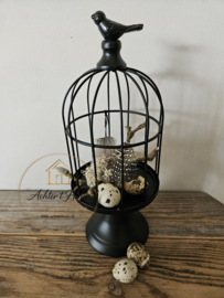 Vogelkooi op etagère