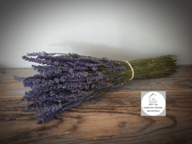 Lavendel gedroogd bos